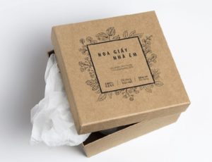 hộp kraft