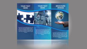 thiet ke catalogue