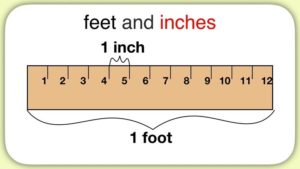 feet là đơn vị gì