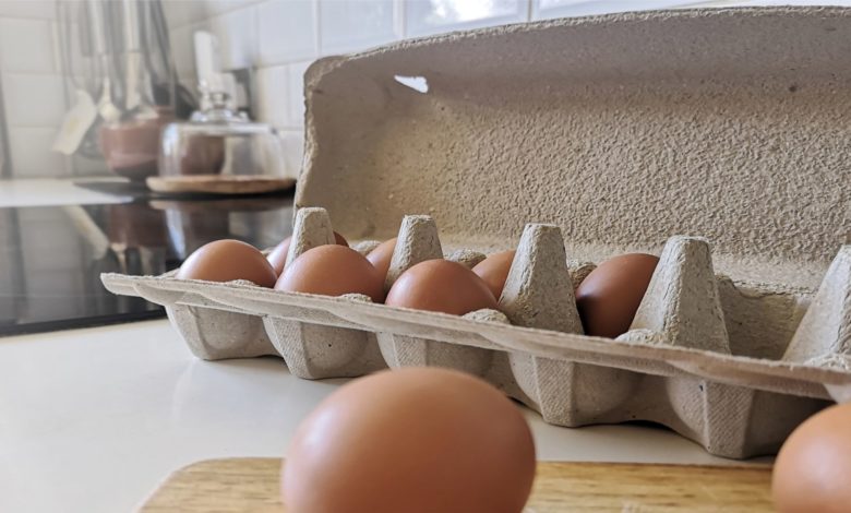 Huhtamaki ra mắt hộp trứng không nhựa ở Mỹ và Brazil