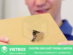 13 Tiêu Chí Kiểm Tra Chất Lượng Thùng Carton Chính Xác Nhất – Vietbox
